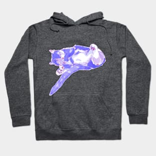 Sleepy Cat T-shirt Mug Sticker Hoodie